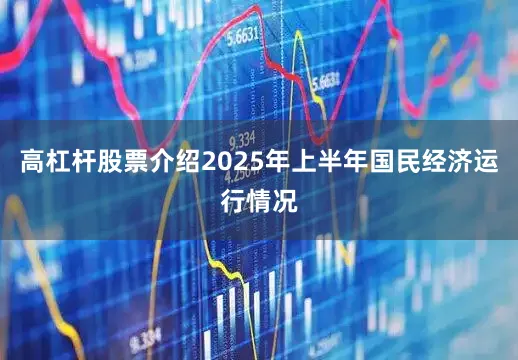 高杠杆股票介绍2025年上半年国民经济运行情况