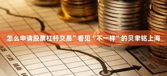 怎么申请股票杠杆交易”看见“不一样”的贝聿铭上海